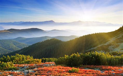 Download Sunbeam Landscape Mountain Forest Nature Photography HDR HD Wallpaper