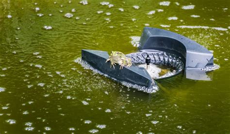 5 Best UK Pond Aerators Reviewed (Nov 2020) | UpGardener™