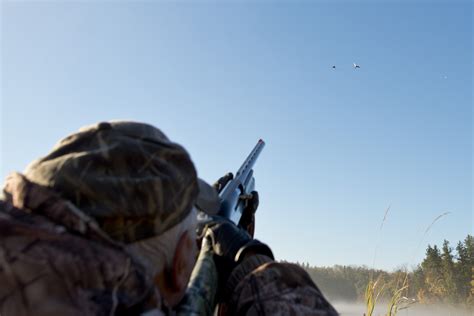 Four Shotgun Shooting Tips - Fin and Field Blog