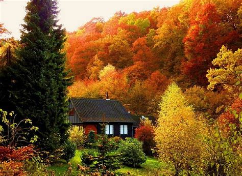 1920x1080px, 1080P free download | Nestled in Autumn's Beauty, forest, autumn, nature, cabin, HD ...