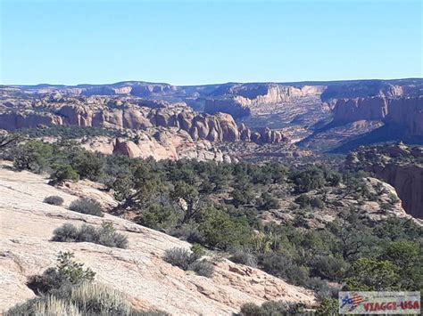 Navajo National Monument: Trails and Guided Tours to the Cliff Dwellings