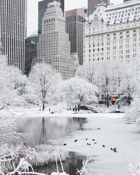 Top 10 Most Astonishing Photos of NYC Covered With Snow | New york christmas, Winter scenery ...