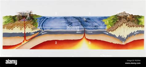 Continental drift, volcanoes and oceanic ridge. Artwork by Mike Saunders Stock Photo - Alamy