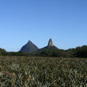 Beerwah, Queensland - Alchetron, The Free Social Encyclopedia