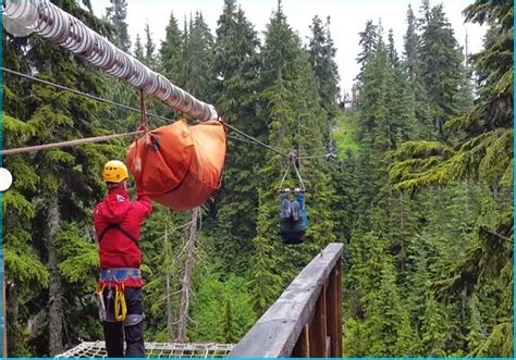 Grouse Mountain Ziplines (North Vancouver) - 2019 All You Need to Know Before You Go (with ...