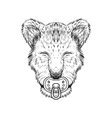 Lion king cub Royalty Free Vector Image - VectorStock