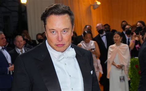 Elon Musk’s Big Twitter Adventure Will End in Disaster | The Nation