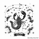 Zodiac Coloring Pages  Free & Printable sketch template