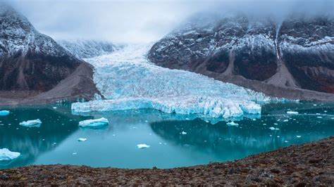 Canada is going to lose the Artic forever - TFIGlobal