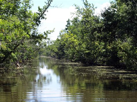 Swamp Tour - HawkeBackpacking.com