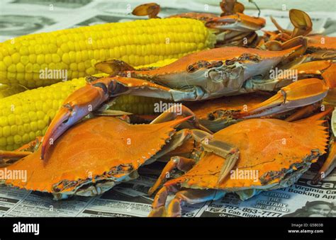 Low Country Crab boil Stock Photo - Alamy