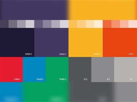 Brand Color Palette Examples by Borko Ćurčić on Dribbble