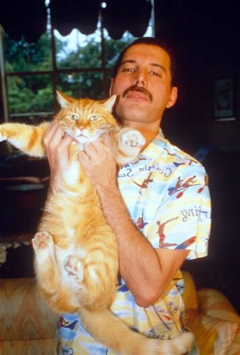 13 Rare Photos Of Freddie Mercury And His Cats