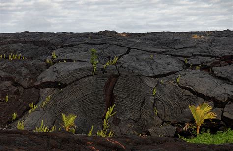 Big Island 2018 Lava Flow Photograph by Ely Spivack - Pixels