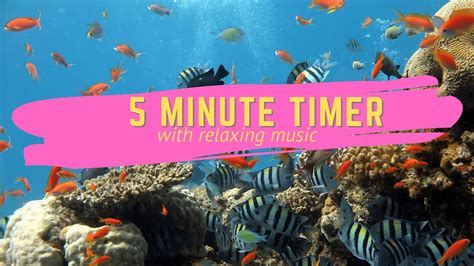 5 Minute Timer with Relaxing Music 2021 - Aquarium - YouTube