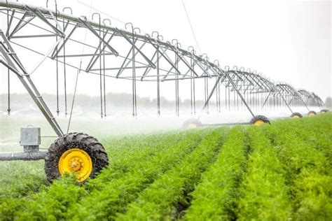 Top 10 Irrigation Equipment Suppliers in 2023 | Linquip