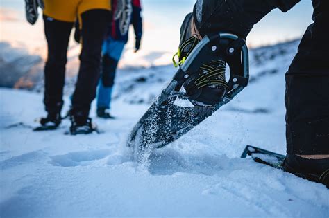 Snowshoe Hike — Fjordsafari