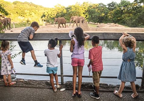 Pittsburgh Zoo will reopen Friday with timed ticket system, safety ...