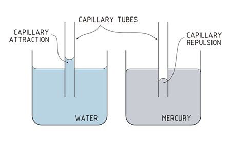 Adhesion Of Water Diagram