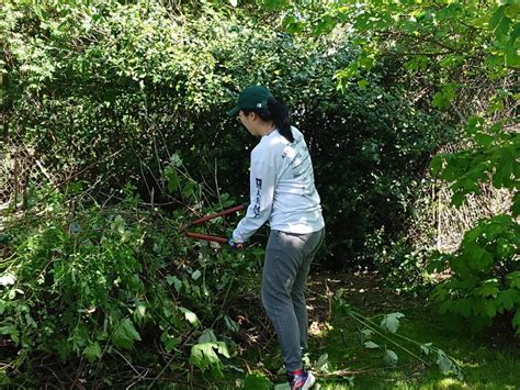 Deep cleaning at Picnic Point Park - Lynnwood Today