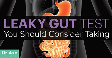 Leaky Gut Test You Should Consider Taking - Dr. Axe