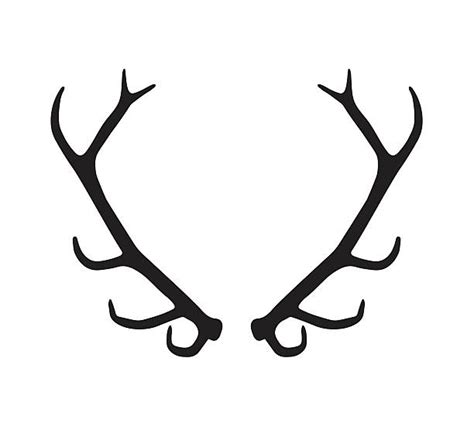 Top 60 Elk Antlers Clip Art, Vector Graphics and Illustrations - iStock