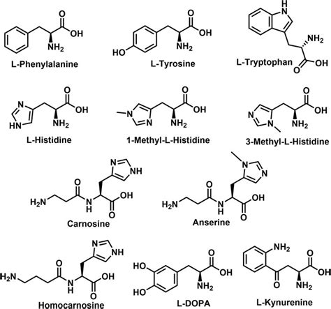 Frontiers | The Biosynthesis and Metabolism of the N-Acylated Aromatic Amino Acids: N ...