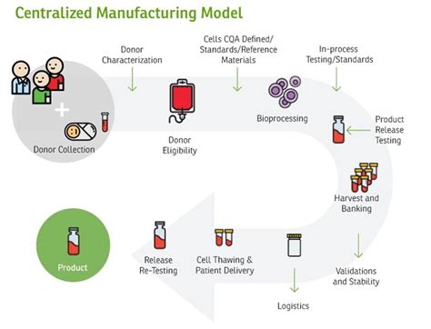 Manufacturing Cell Therapies: The Paradigm Shift in Health Care of This Century - National ...