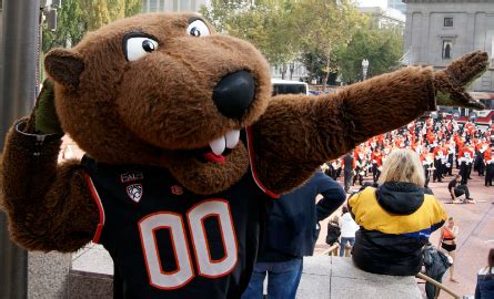 The Biggest Beaver Fan Around Tells All - The Corvallis Advocate