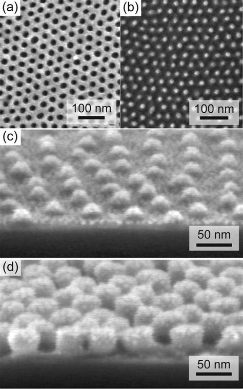 (a) SEM image of a PS-b-PMMA block copolymer film. PMMA has been... | Download Scientific Diagram