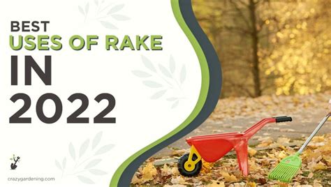 Incredible Uses of Rake & Types [Time to Rake It Up 2024] - PlantNative.org