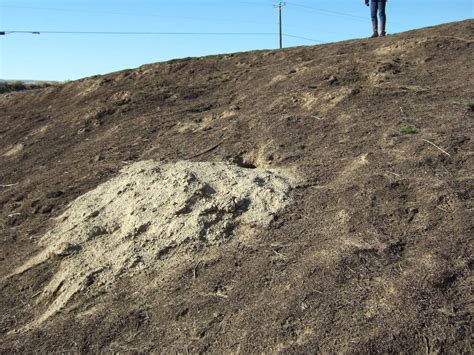 Reading the Washington Landscape: Bioturbation of Upper Soil in Eastern Washington Range Land