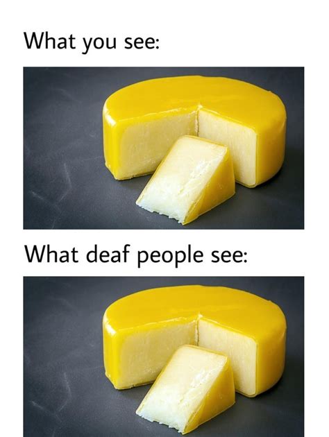 cheese memes - Chess.com