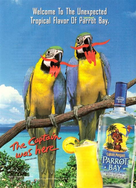 1999 Captain Morgan's Rum Parrot Bay Print Ad Vintage Advertisement VTG 90s - Captain Morgan