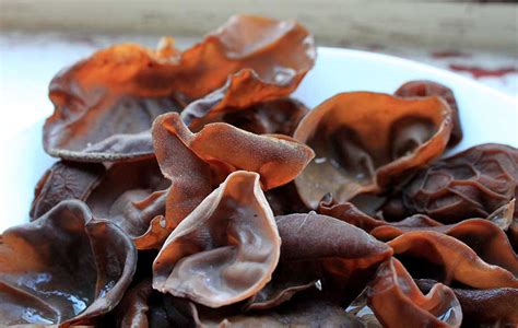 Jelly ear fungus: Foraging for culinary and medicinal use - BritishLocalFood