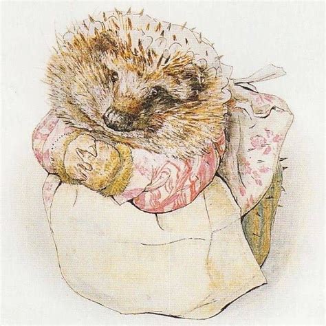 The Tale of Mrs Tiggy-Winkle (1905) | Beatrix potter illustrations ...