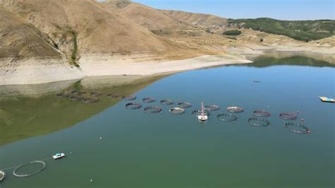 Salmon Fish Farming landscape, Stock Footage | VideoHive