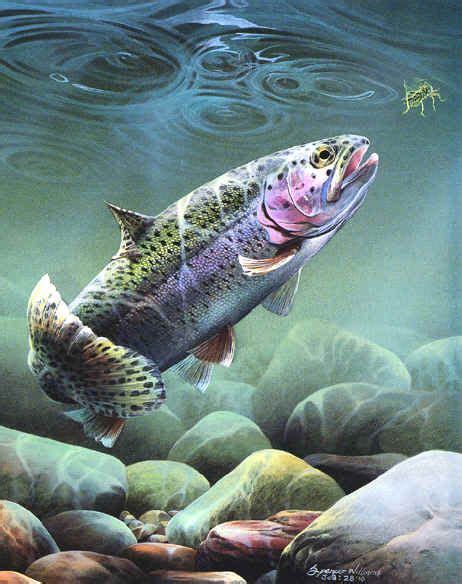 Underwater paintings animal wildlife paintings paintings of animals wildlife art spencer ...