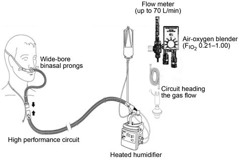 high flow nasal cannula flow rate range - Clyde Chang