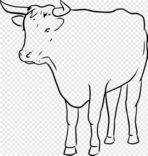 Cattle Bull Drawing Grafika liniowa, rysowanie, rysunek zwierzęcia ...