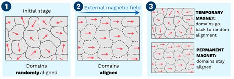 Induced and Permanent Magnets - Labster