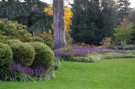 Pin by Rachel Ferlazzo on Gardening | Liriope muscari, Ornamental grasses, Variegated liriope