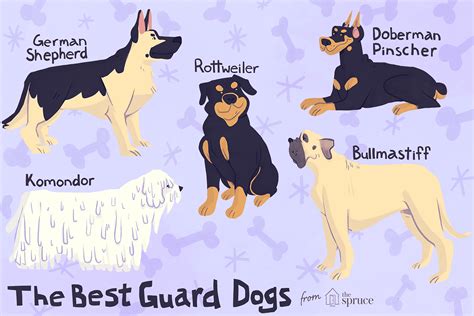 10 Best Guard Dog Breeds