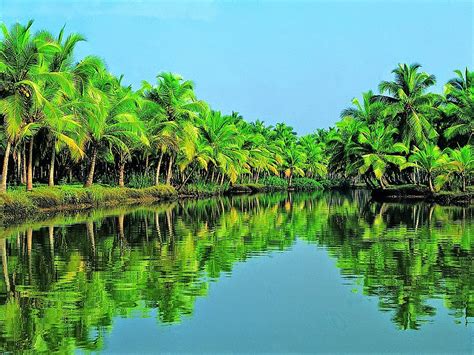 5-five-5: Kerala Backwaters (India).