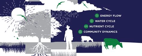 What Are Ecosystem Processes, and Why Do They Matter on the Ranch ...