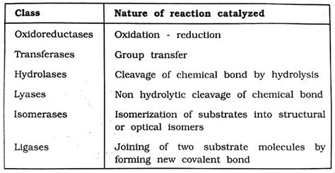 Biotechfront: Classification of Enzymes