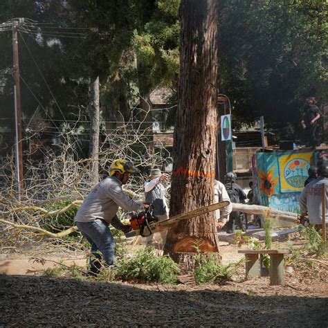 Battle Over People’s Park in Berkeley - The New York Times