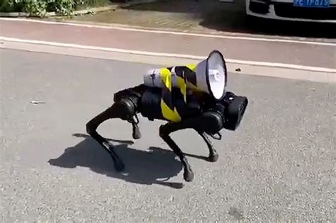 Viral Video: Robot Dog With Loudspeaker Barks COVID Protocols in Empty Streets of Shanghai Amid ...