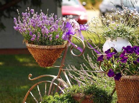 7 Easy Steps to Growing Lavender in Pots - Hort Zone