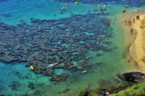 Ultimate Guide To Hanauma Bay Snorkeling - Spotlight Hawaii